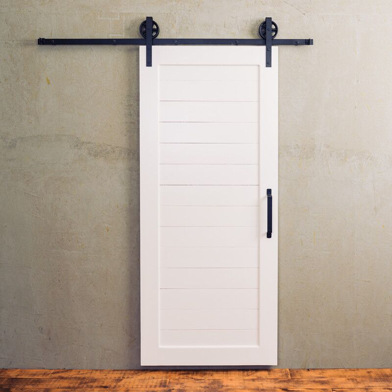 Modern Minimalism barn door