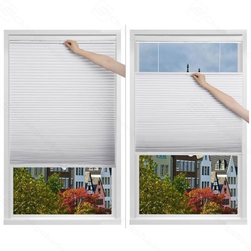 Top Down Bottom Up Honeycomb Blinds